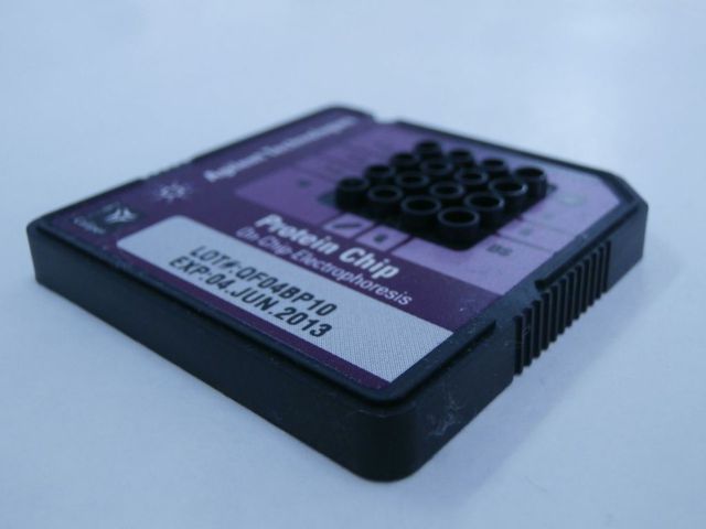 Chip electrofortico