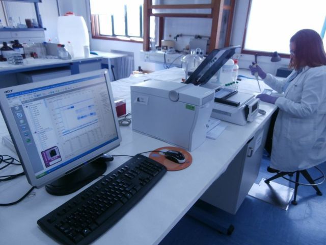 Electroforesis OffGel y Bioanalizador Electrofortico