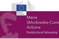 MSCA-PF