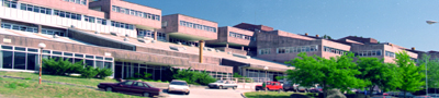 Mathematics Faculty